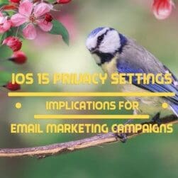 iOS 15 Privacy Settings Implications for Email Marketing Campaigns