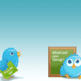 twitter-slide