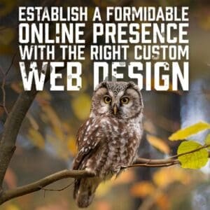 webdesign