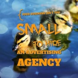 your business isnt too small to hire an advertising agency
